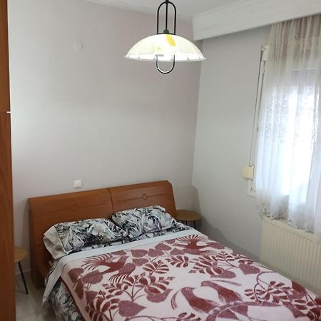 Apartment Marios Soufli Ευρύχωρη Γκαρσονιέρα, 60M2 Στο Κέντρο Souflion Luaran gambar